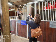 DS110422-126 - Dan Skelton Stable Visit